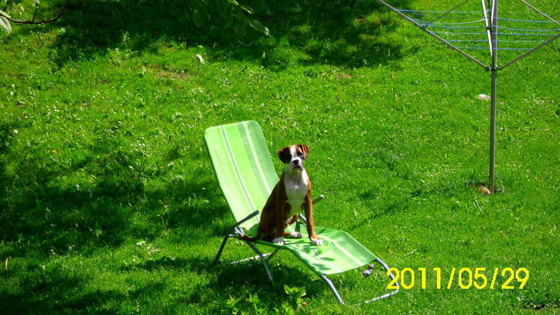 Tady jsem pánem já!